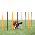 Load image into Gallery viewer, Dog Agility Course