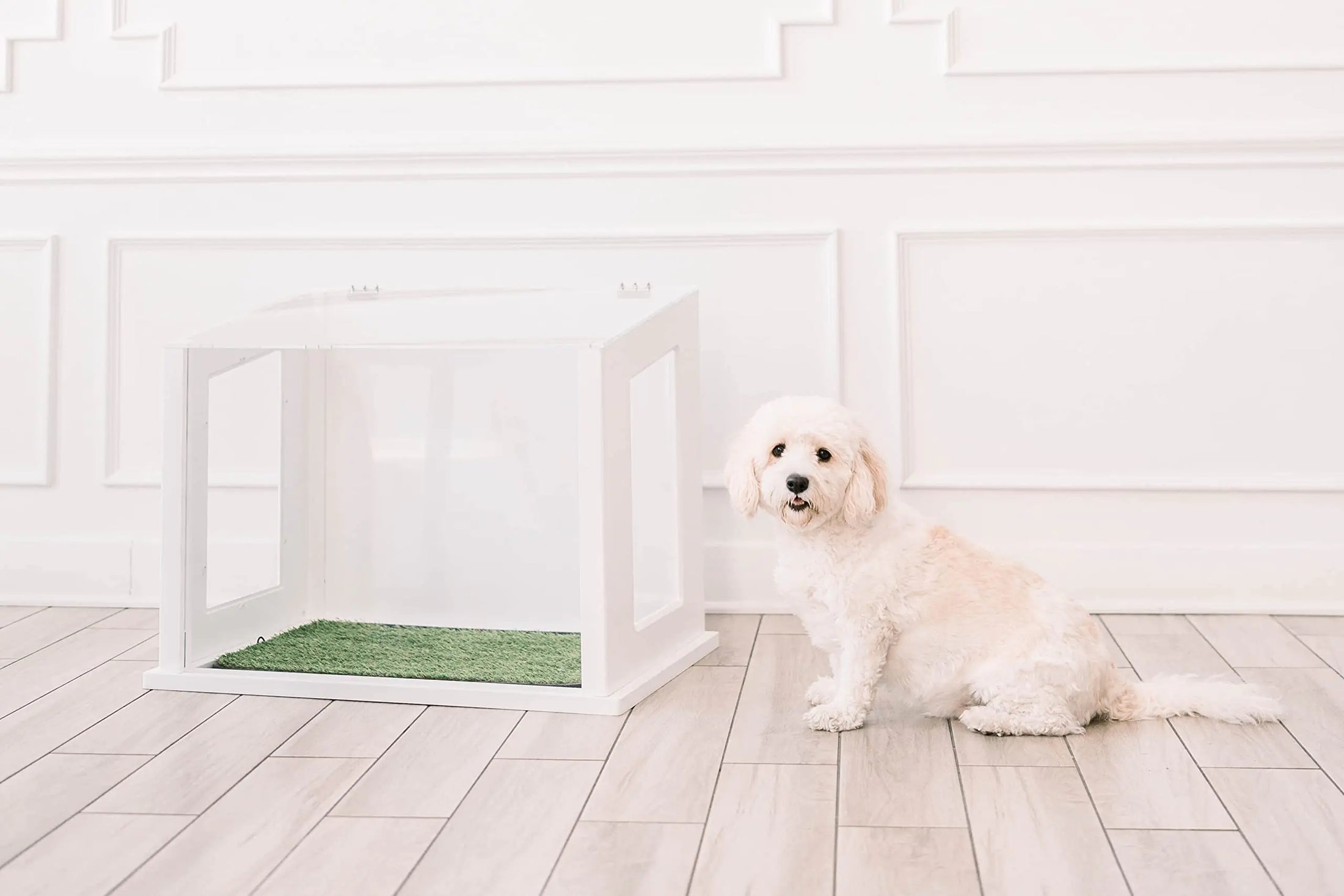 Chic Pet Potty