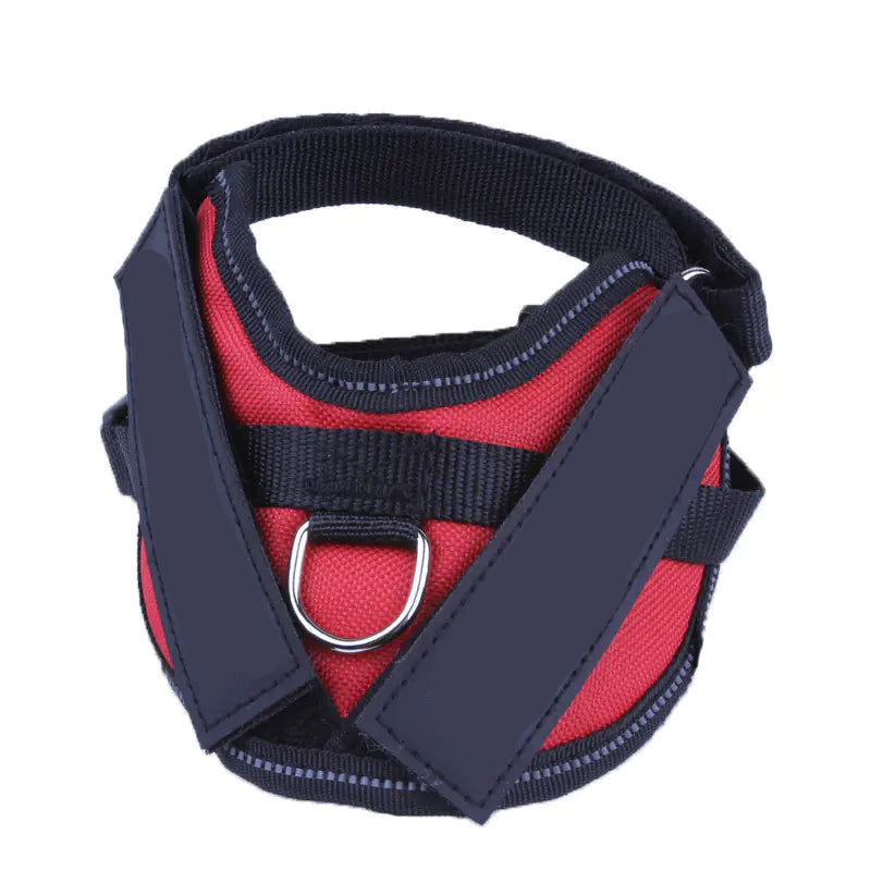 Dog Harness