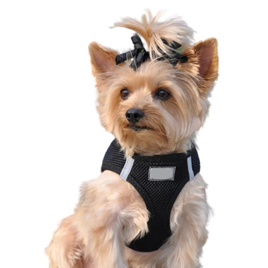 Choke-Free Dog Harness